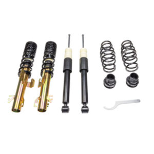 Coilovers DTSLine SX Seat Ibiza 6J