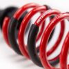 Kit Coilover MTS Technik Street – Ford Focus