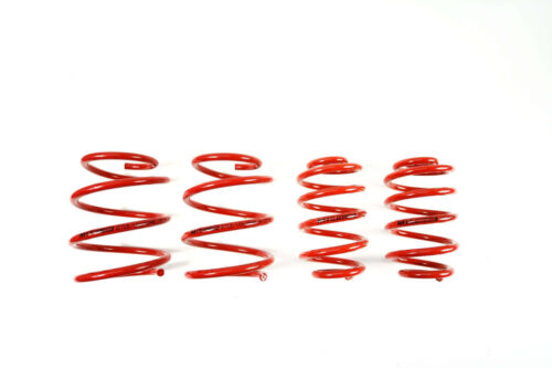 MTSXBM129.jpg Molas de Rebaixamento MTS Technik BMW Série 3 E46
