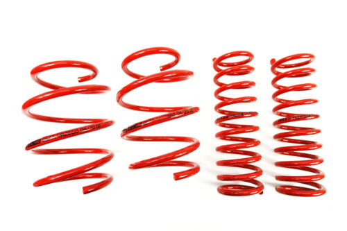 Molas de Rebaixamento MTS Technik BMW Série 5 E39