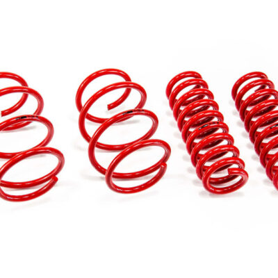 MTSXBM149.jpg Molas de Rebaixamento MTS Technik BMW Série 1 F20 / F21