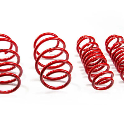 Molas de Rebaixamento MTS Technik Seat Leon SC