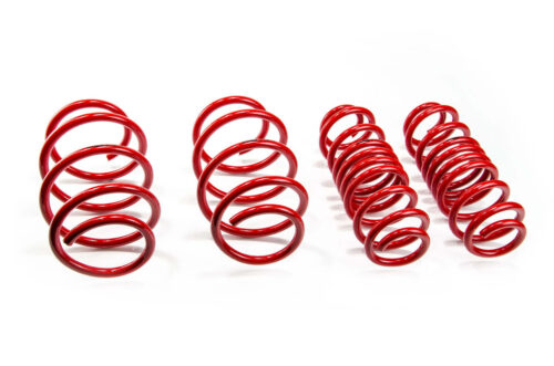 Molas de Rebaixamento MTS Technik Seat Leon SC