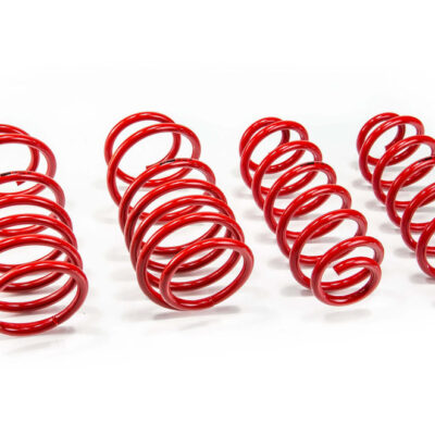 Molas de Rebaixamento MTS Technik VW Passat B7