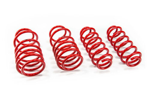 Molas de Rebaixamento MTS Technik VW Passat B7
