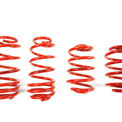 Molas de Rebaixamento MTS Technik VW Passat B5