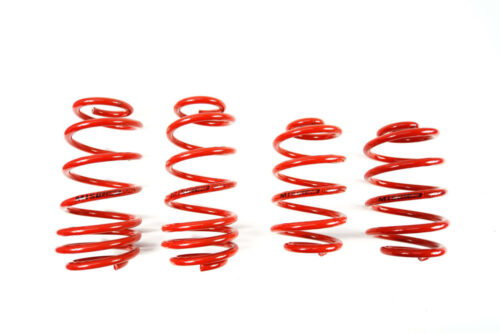 MTSXVW220.jpg Molas de Rebaixamento MTS Technik VW Passat B5 Variant