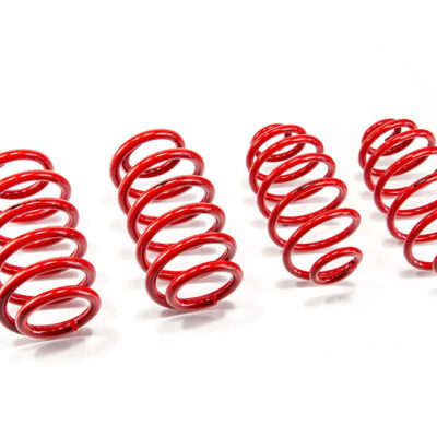 Molas de Rebaixamento MTS Technik VW Passat B5
